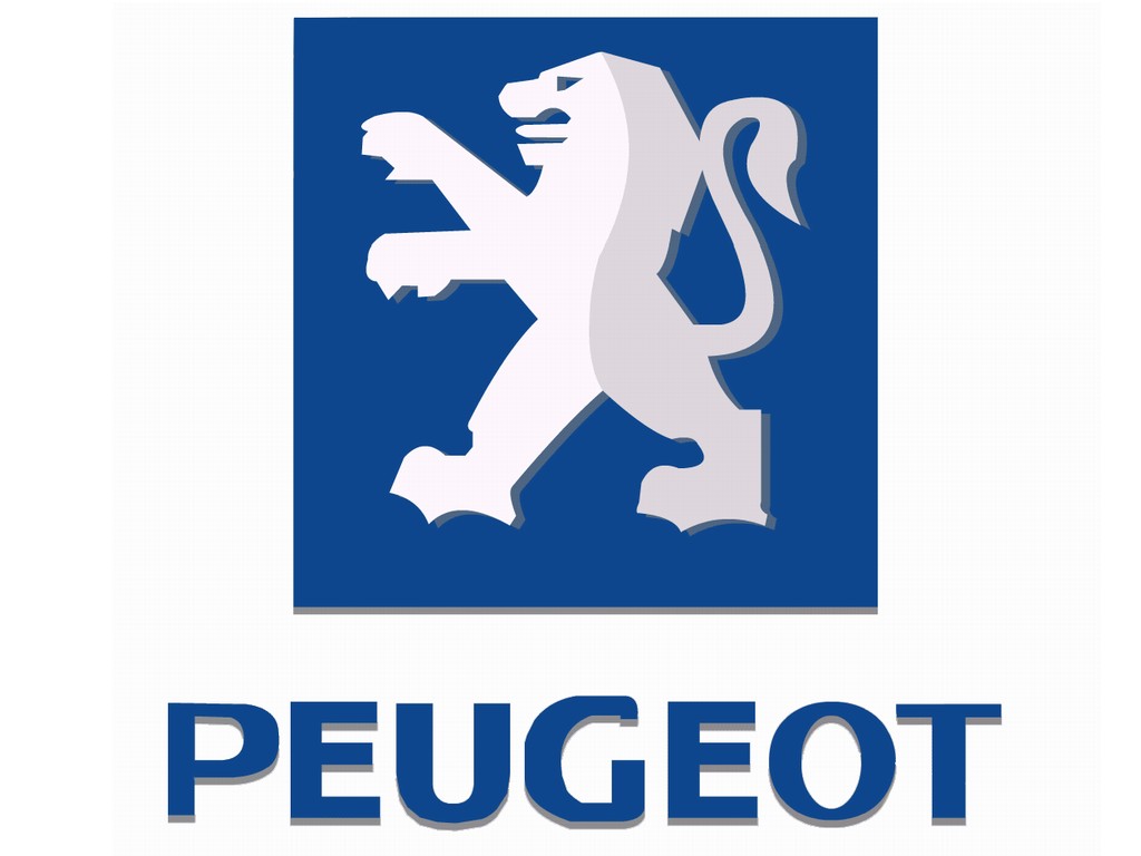 Servo Freio Peugeot Reman - 6 cilindros - Todos modelos gasolina